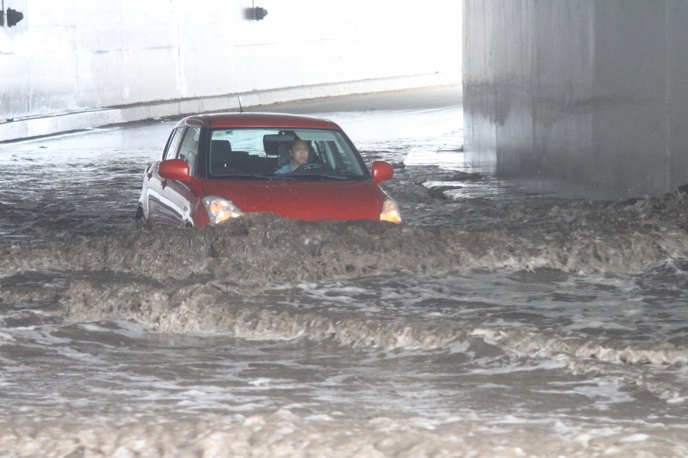 41951311_712018655812909_8757250102487154688_n