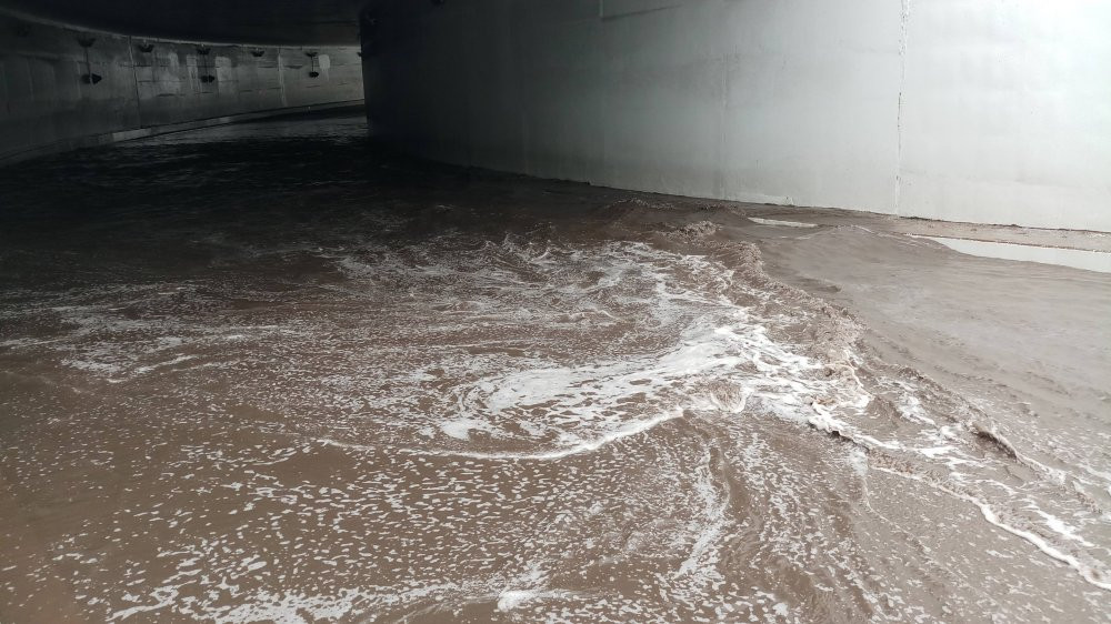 41958053_236577137017240_6528844030770413568_n