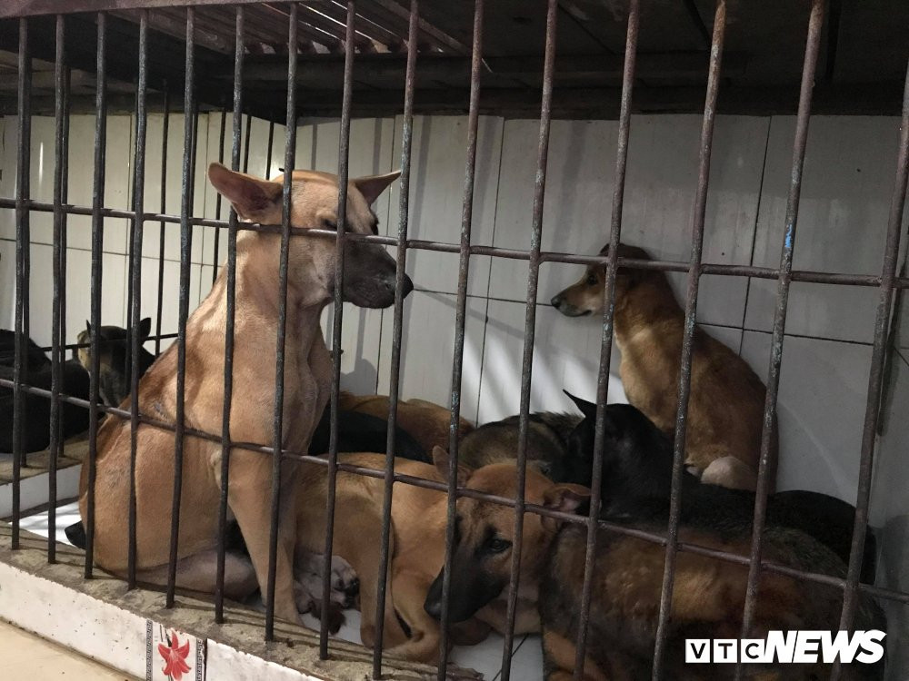 41743025_2203383166574535_204015404736053248_n