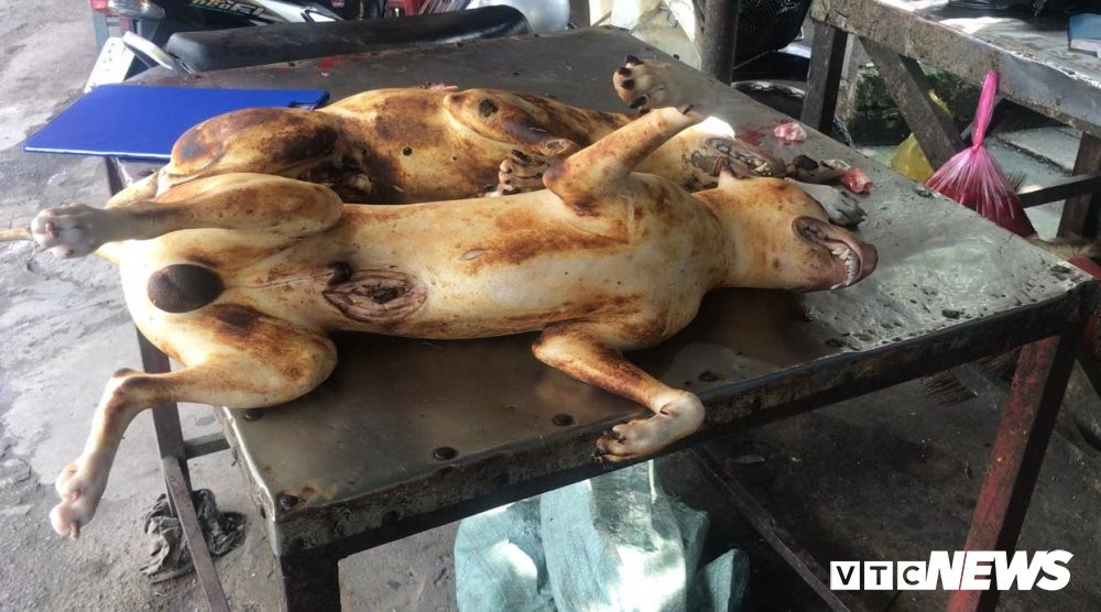 42088726_514110715718502_922700842245554176_n