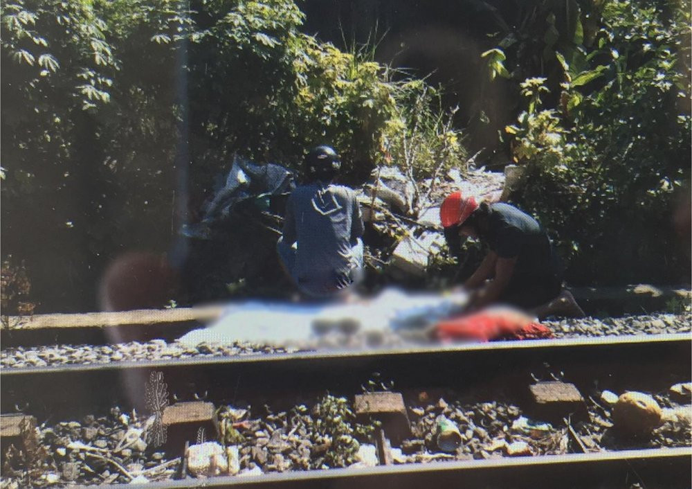 50006598_647223902360865_3123100278333636608_n