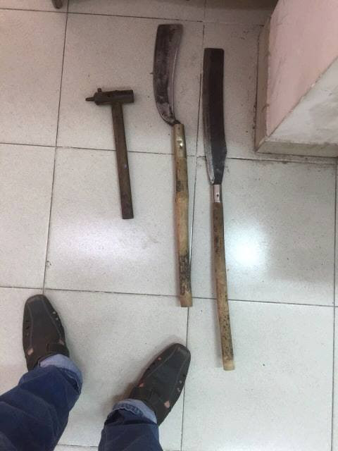 54394329_326214514692158_7549015273148252160_n