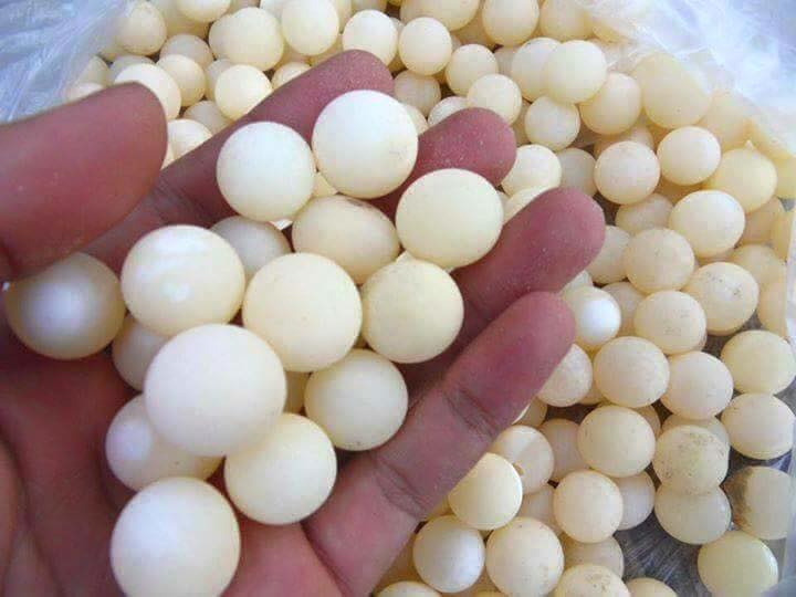Hinh anh 