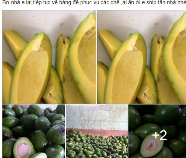 20170613170206-bo-dac-san