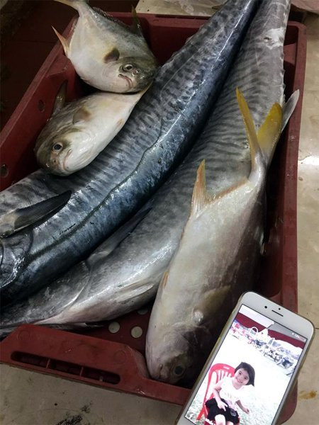 20170626114358-ca-thu-2 3