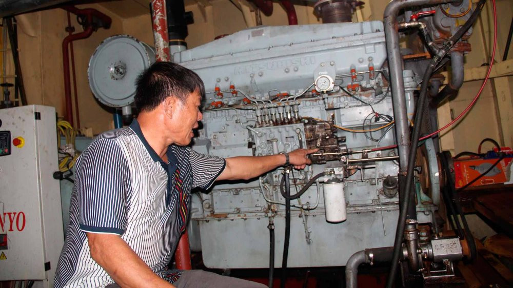 tau vo thep thanh hoa1