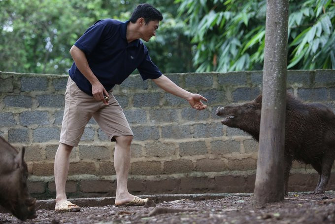 thay giao nuoi lon10 12