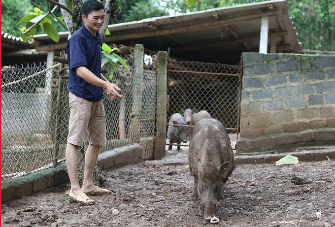 thay giao nuoi lon2 4