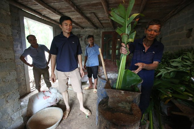 thay giao nuoi lon6 8