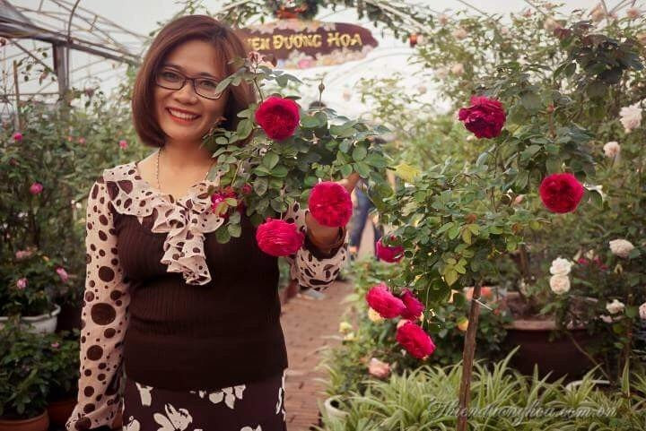 20170717162753-hoa-hong4