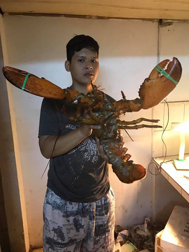 20170721081632-tom-hum-canada-2