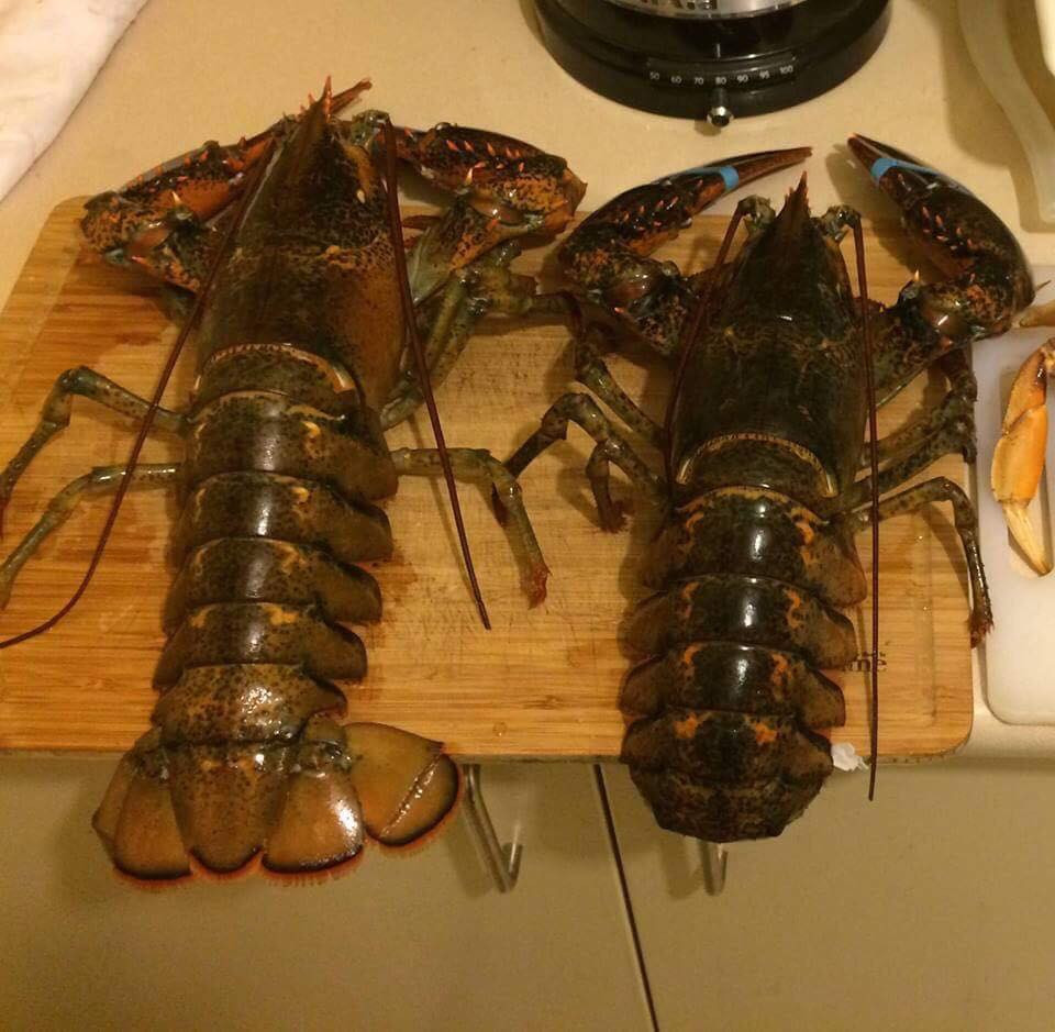 20170721081632-tom-hum-canada-4 4