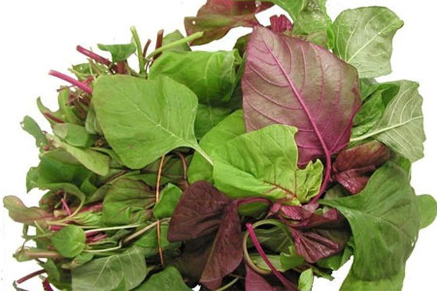 20170812161407-rau-den 8