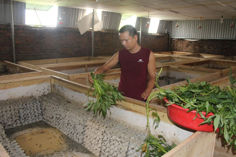 150604561818868-cho-de-an 3