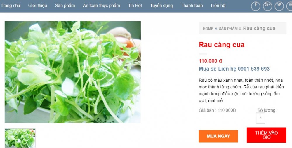 rau cang cua