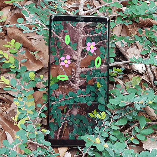 LiveMessage_20171129074054