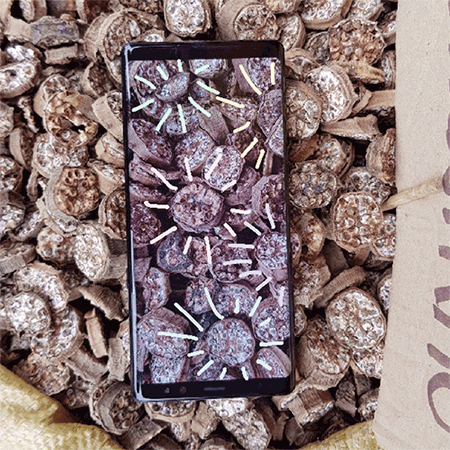 LiveMessage_20171129074600 7