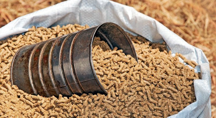 su-dung-dam-gia-trong-nuoi-lon-ga-ca-gay-benh-cho-con-nguoi