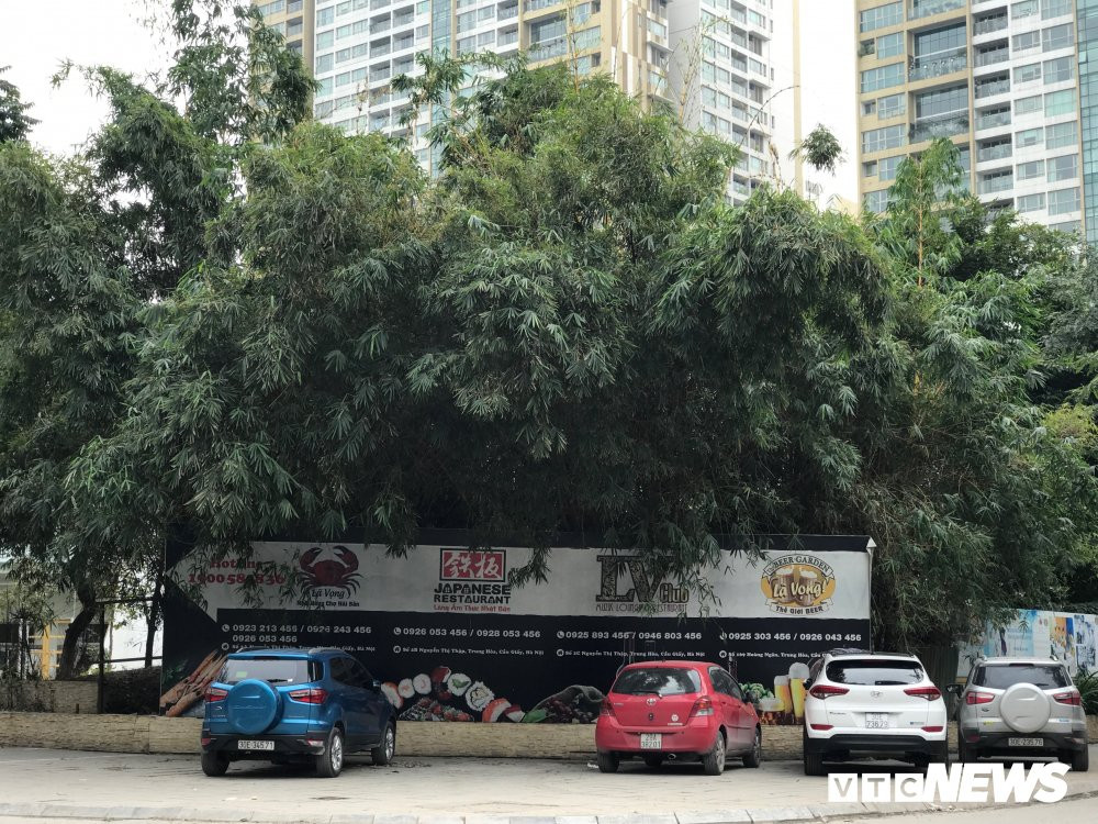 8FC79DE7-C130-41D1-AF11-15D83BE3BB3F 4