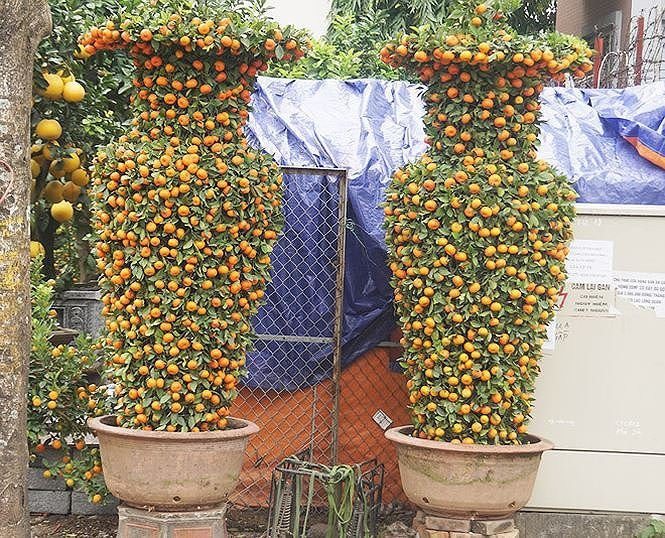 tien_phong_quat_luc_binh1_aqyq 17