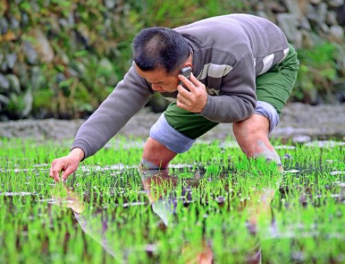 rural-china-1691-1517977386