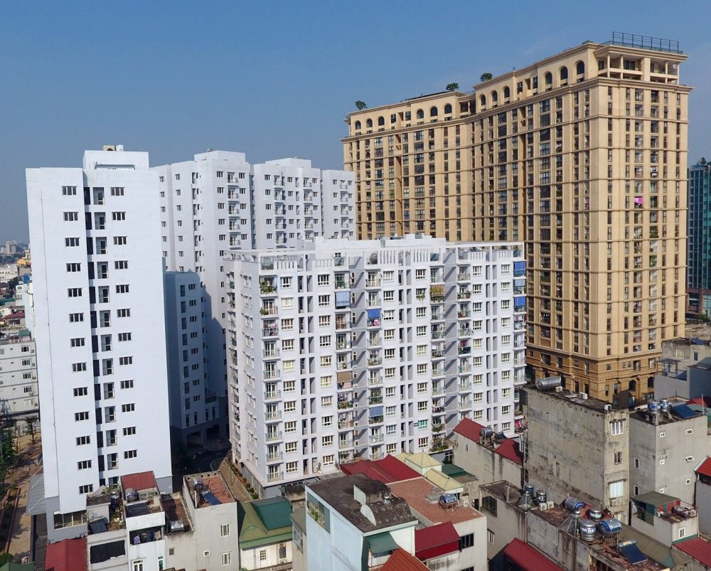 tai dinh cu hoang cau 15