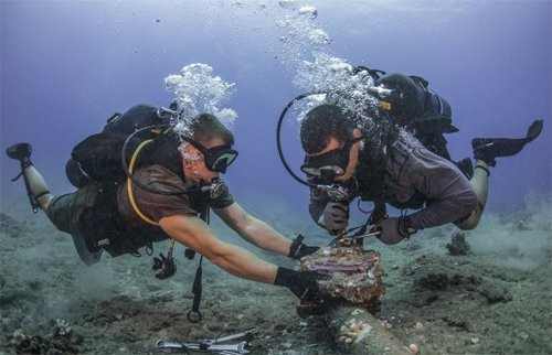 a1-6172-1524545346-2230066