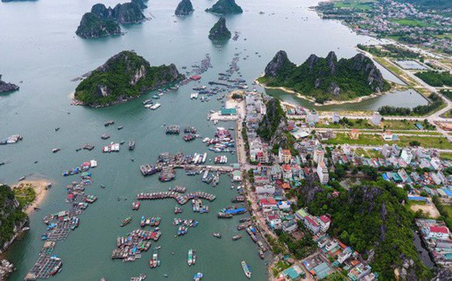 photo1514341521193-1514341521367