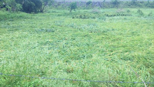 328111211783056396676916852130174805213184n-15266405088731053432116 3