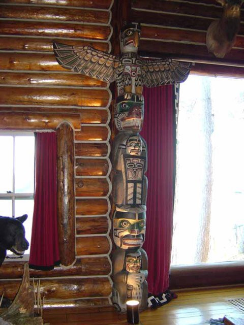 563126469dd7cc1d008c57d8-480-640 8