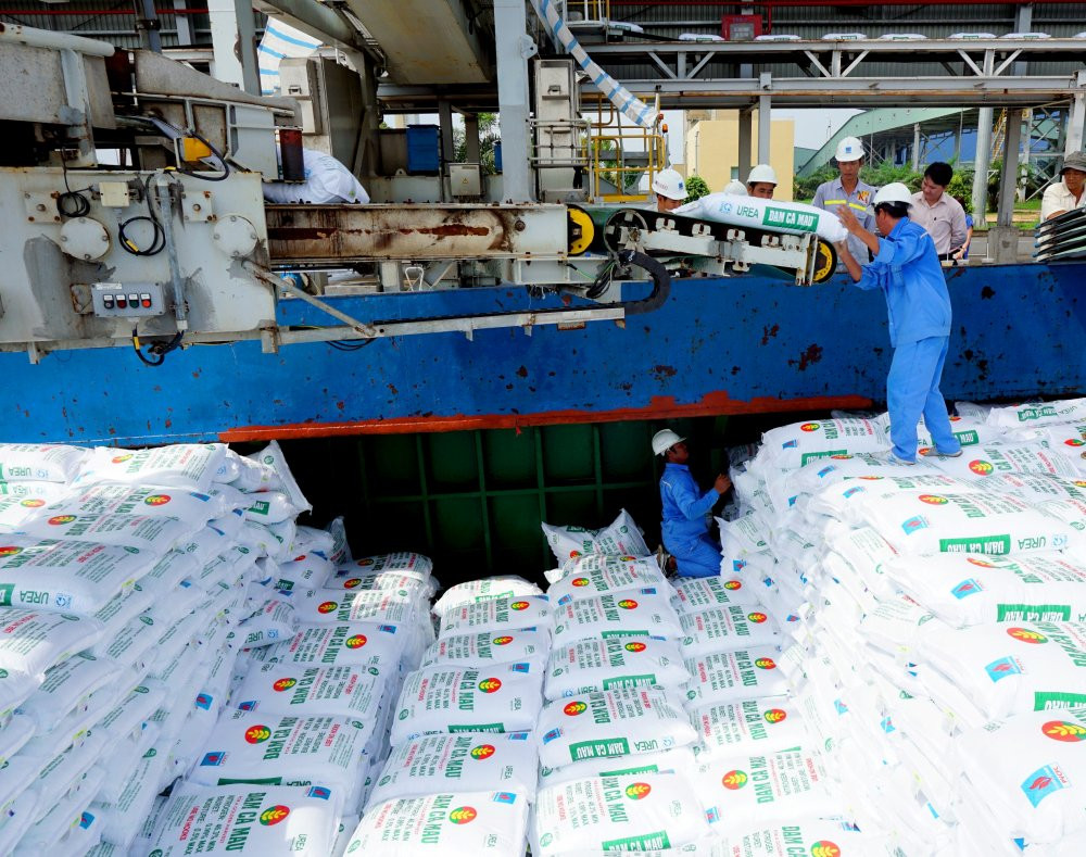 Xuat san pham Dam Ca Mau 4