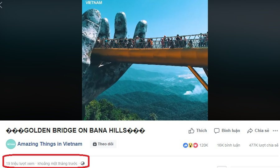 Cau Vang Amazing Thing in Vietnam 3