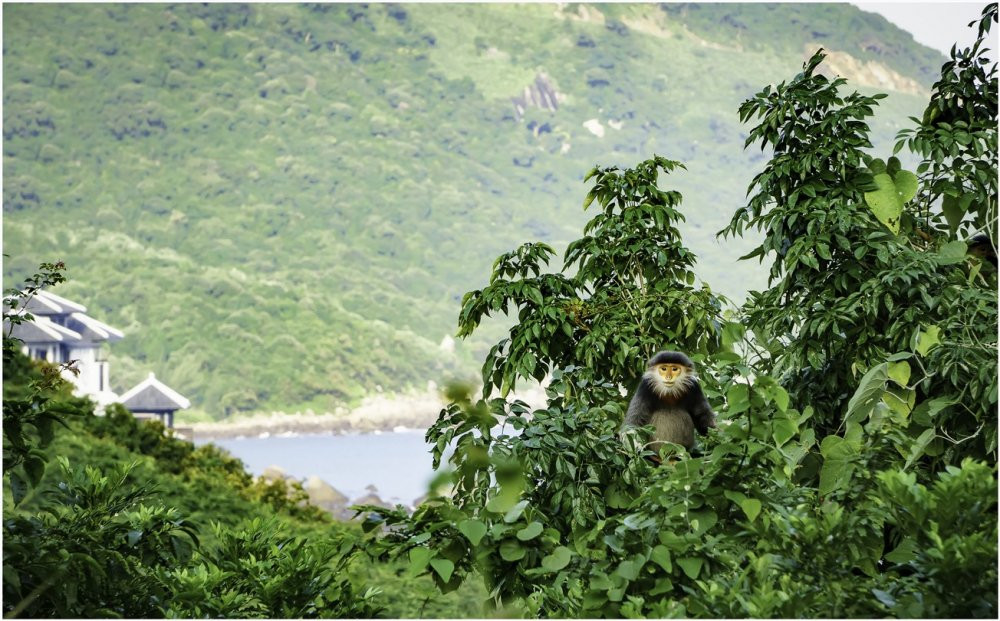 Vooc-InterContinental (1) 4