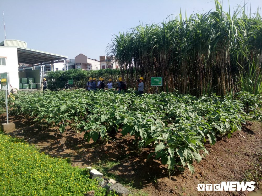 ajinomoto2-3-1533070 3