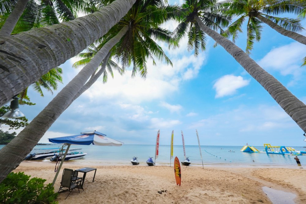 Sun World Hon Thom (4) 3