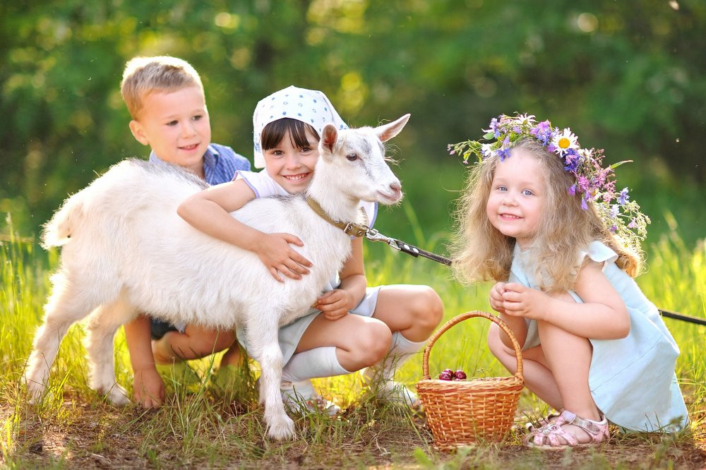 shutterstock_296832764_huge 3