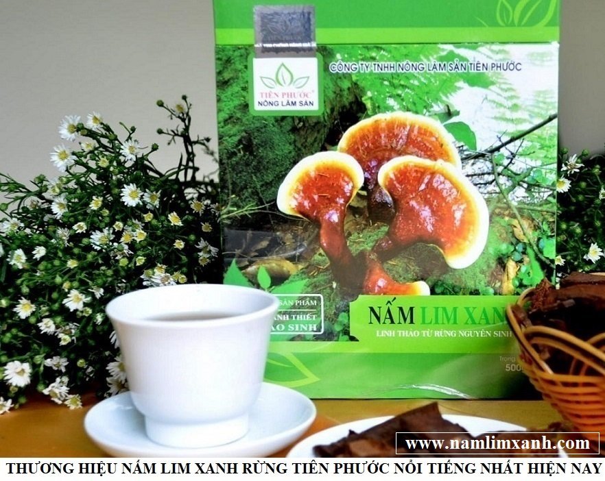 Nam lim xanh rung voi hinh anh nam lim xanh that gia hinh anh 6