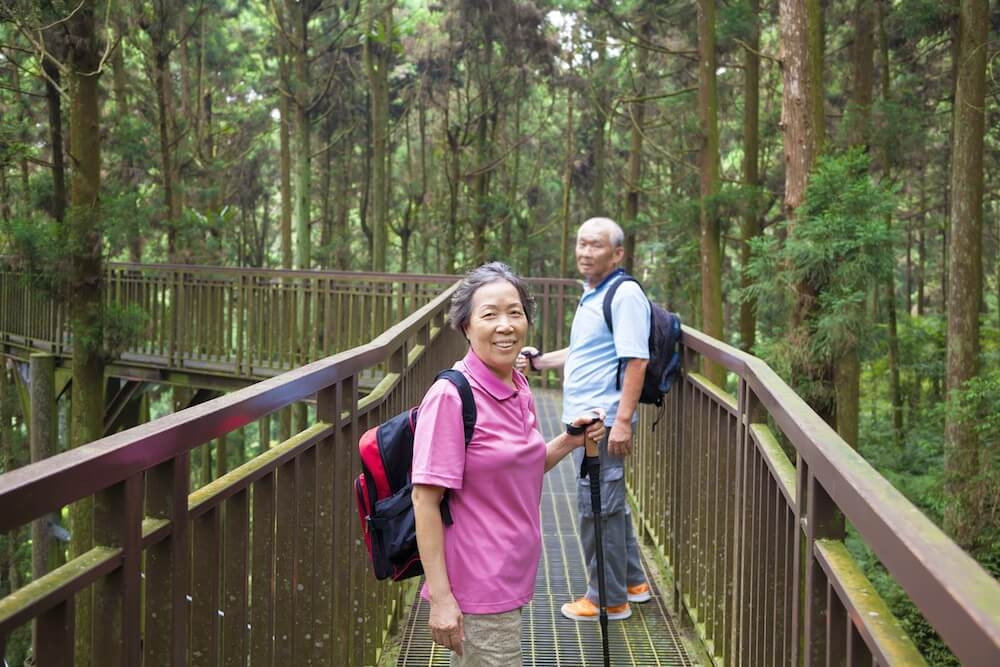 Kinh nghiem to chuc du lich danh cho nguoi lon tuoi hinh anh 1