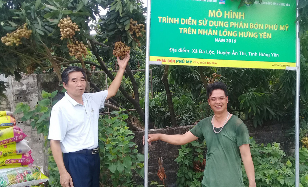 Mo hinh trinh dien su dung phan bon Phu My tren cay nhan