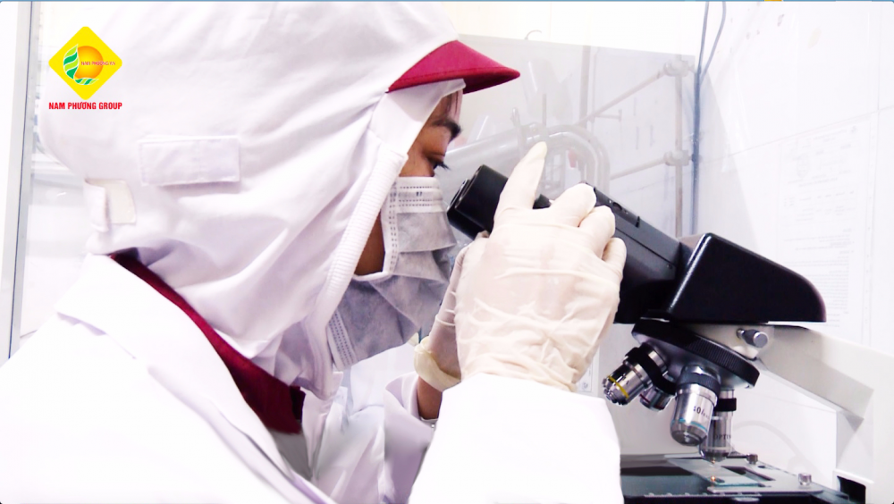 Am thuc Nhat cho nguoi viet hinh anh 1