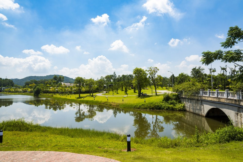 Gioi tre truy tim 'Bai sao' sieu lang man trong ngoai truyen Ve nha di con hinh anh 4