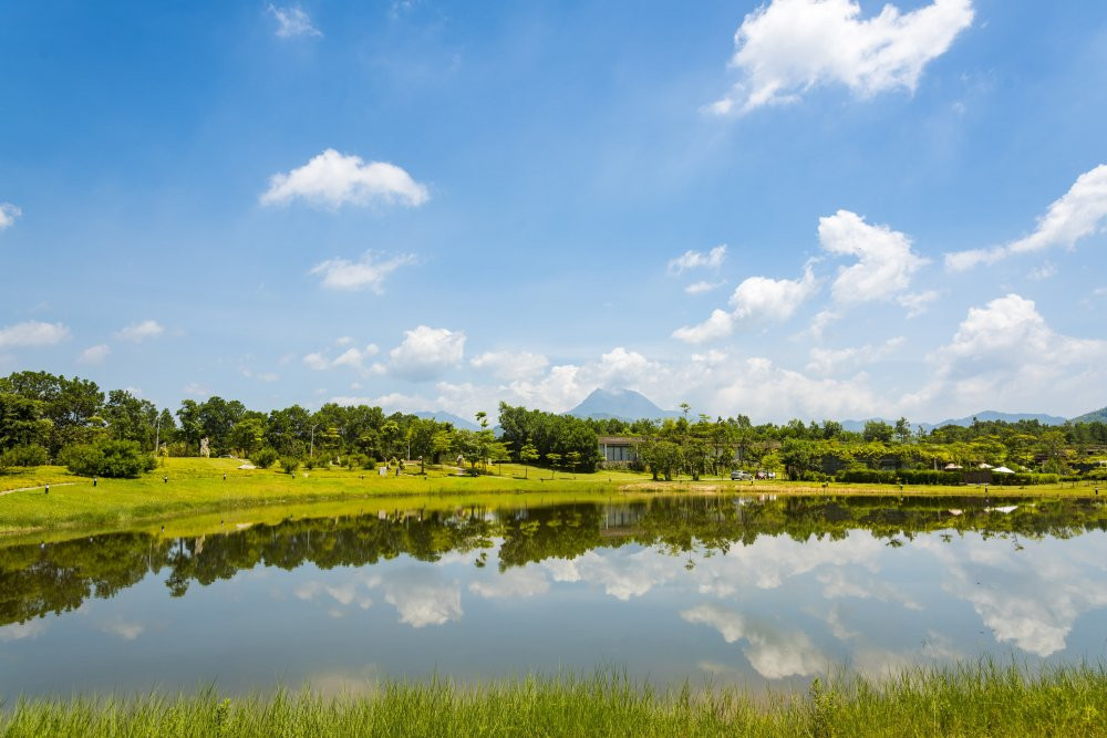 Gioi tre truy tim 'Bai sao' sieu lang man trong ngoai truyen Ve nha di con hinh anh 5