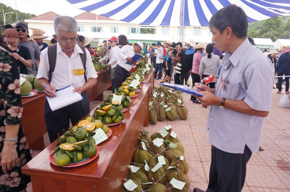 Le hoi trai cay Khanh Son (2) 3