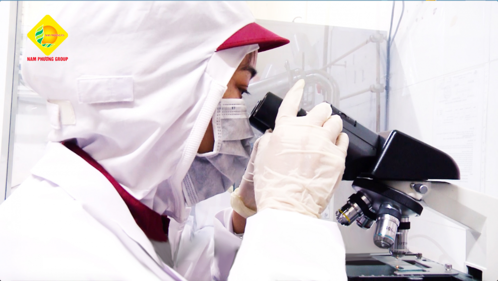 Nam Phuong Food – Hanh trinh tu niem dam me am thuc cua nu thuyen truong hinh anh 3