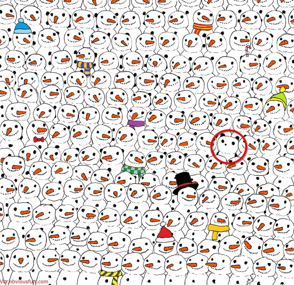 Solution-for-spot-a-panda-challenge