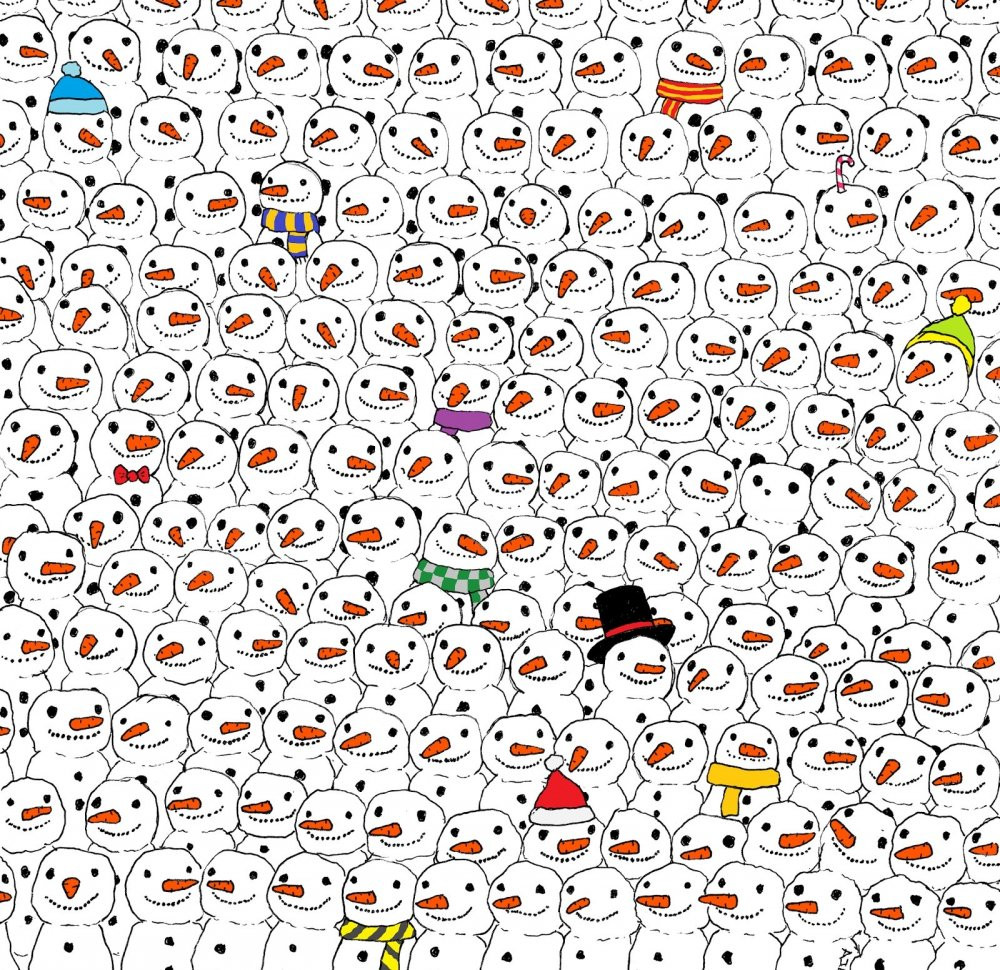 Spot-a-panda-brain-challenge-and-illusion