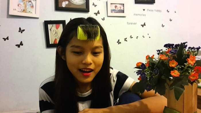 con nuoi phi nhung 5