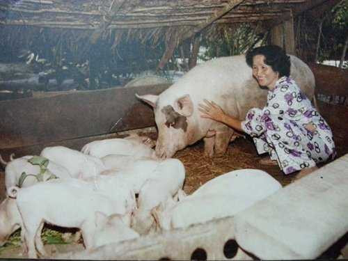 “Lộ” ảnh cực hiếm của gia đình Hoài Linh thời khó khăn - 1