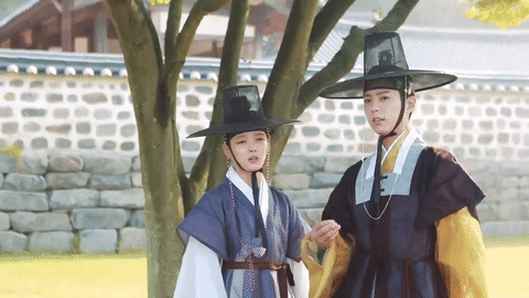 may hoa anh trang 16