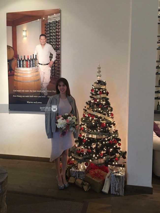 hinh-ngoctrinh5-1481899743847